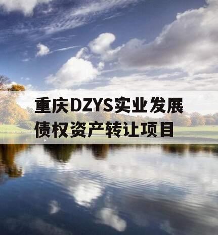 重庆DZYS实业发展债权资产转让项目