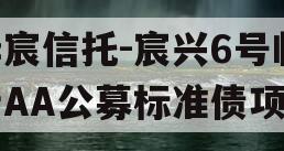 华宸信托-宸兴6号临沂AA公募标准债项目