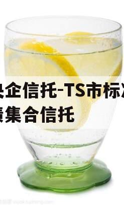 央企信托-TS市标准债集合信托