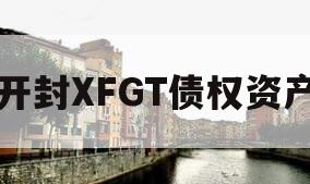 开封XFGT债权资产