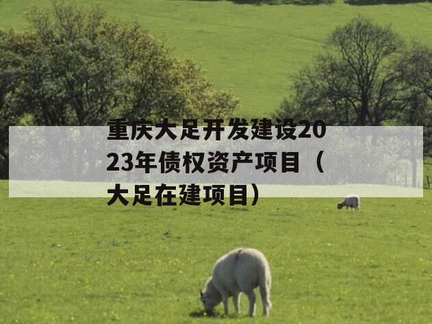 重庆大足开发建设2023年债权资产项目（大足在建项目）