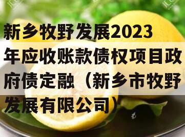 新乡牧野发展2023年应收账款债权项目政府债定融（新乡市牧野发展有限公司）