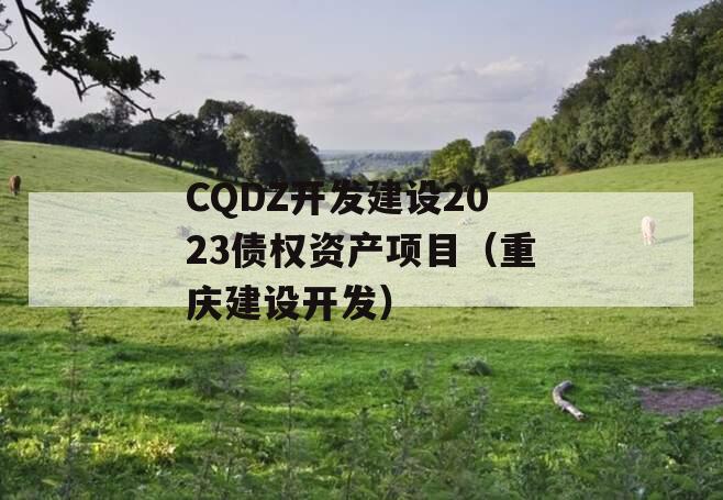 CQDZ开发建设2023债权资产项目（重庆建设开发）