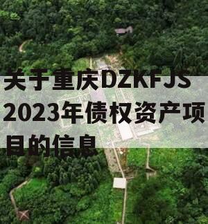 关于重庆DZKFJS2023年债权资产项目的信息