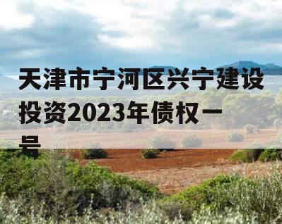 天津市宁河区兴宁建设投资2023年债权一号