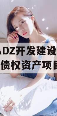 CADZ开发建设2023债权资产项目