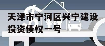 天津市宁河区兴宁建设投资债权一号