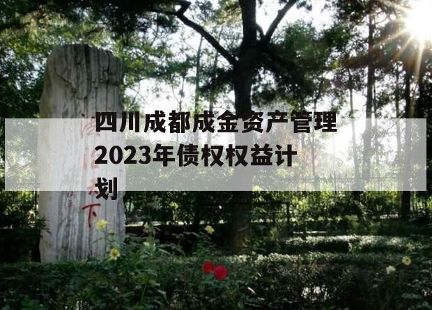 四川成都成金资产管理2023年债权权益计划