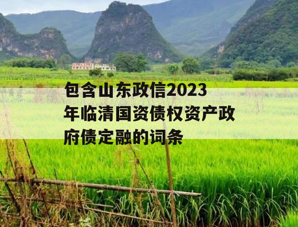 包含山东政信2023年临清国资债权资产政府债定融的词条