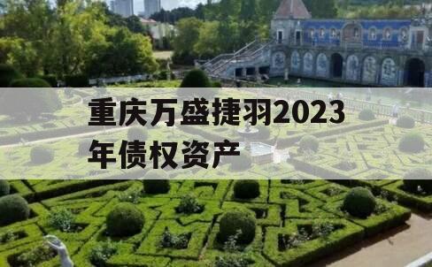 重庆万盛捷羽2023年债权资产