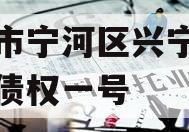 天津市宁河区兴宁建设投资债权一号