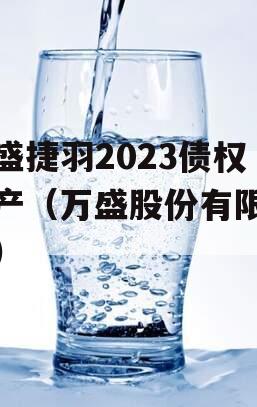 万盛捷羽2023债权资产（万盛股份有限公司）