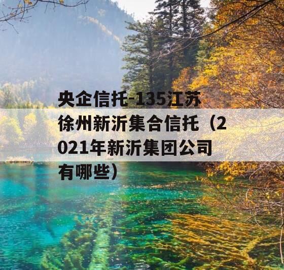 央企信托-135江苏徐州新沂集合信托（2021年新沂集团公司有哪些）