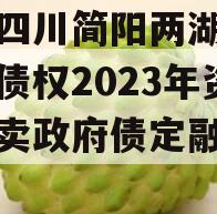 关于四川简阳两湖一山投资债权2023年资产拍卖政府债定融的信息