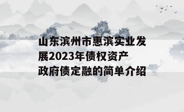 山东滨州市惠滨实业发展2023年债权资产政府债定融的简单介绍