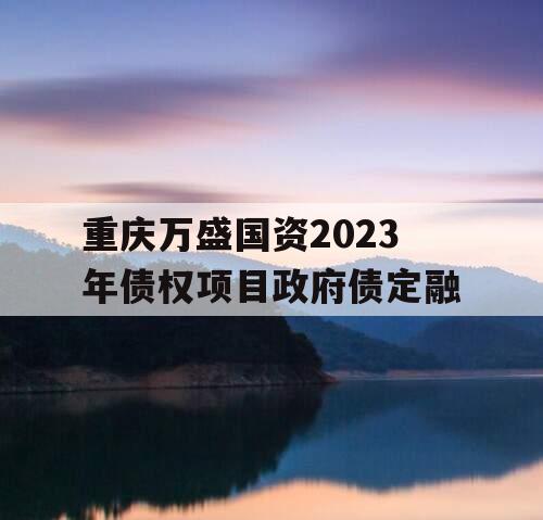 重庆万盛国资2023年债权项目政府债定融