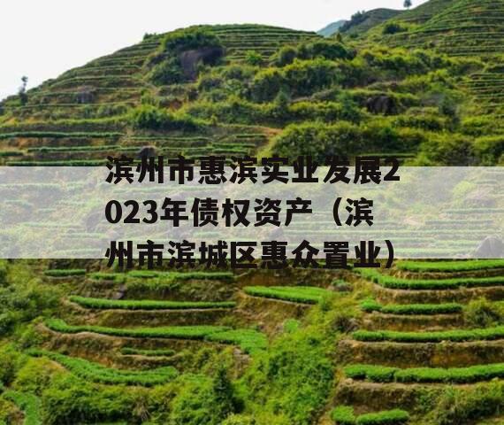 滨州市惠滨实业发展2023年债权资产（滨州市滨城区惠众置业）