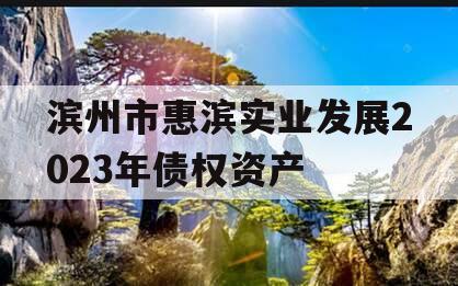 滨州市惠滨实业发展2023年债权资产