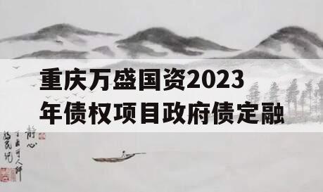 重庆万盛国资2023年债权项目政府债定融