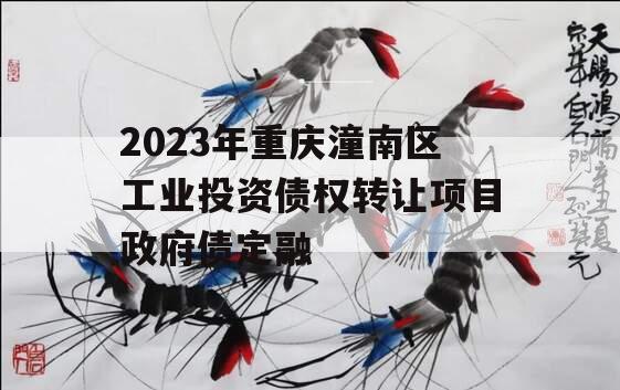 2023年重庆潼南区工业投资债权转让项目政府债定融