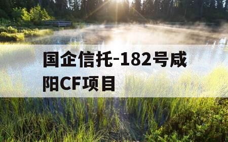 国企信托-182号咸阳CF项目