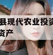 JT县现代农业投资债权资产