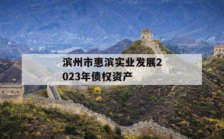 滨州市惠滨实业发展2023年债权资产