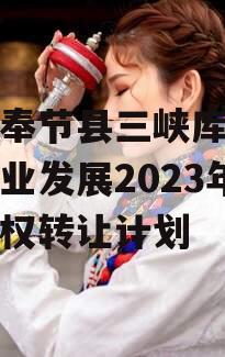 重庆奉节县三峡库区生态产业发展2023年收益权转让计划