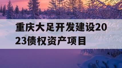 重庆大足开发建设2023债权资产项目