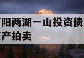 简阳两湖一山投资债权资产拍卖