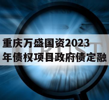 重庆万盛国资2023年债权项目政府债定融