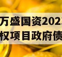 重庆万盛国资2023年债权项目政府债定融