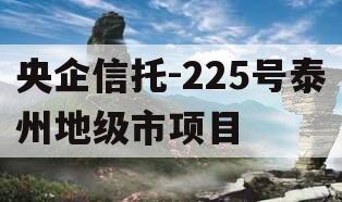 央企信托-225号泰州地级市项目