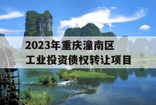 2023年重庆潼南区工业投资债权转让项目