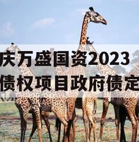 重庆万盛国资2023年债权项目政府债定融