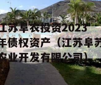 江苏阜农投资2023年债权资产（江苏阜苏农业开发有限公司）