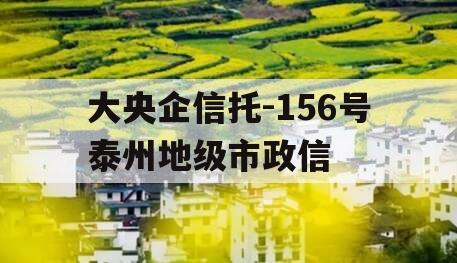 大央企信托-156号泰州地级市政信