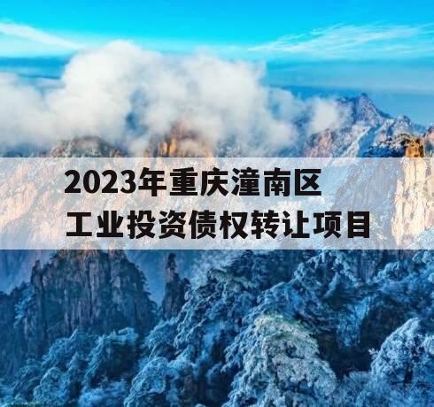 2023年重庆潼南区工业投资债权转让项目