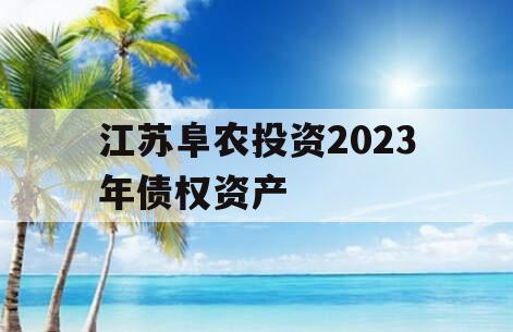 江苏阜农投资2023年债权资产