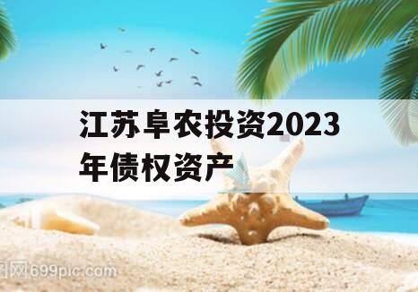 江苏阜农投资2023年债权资产