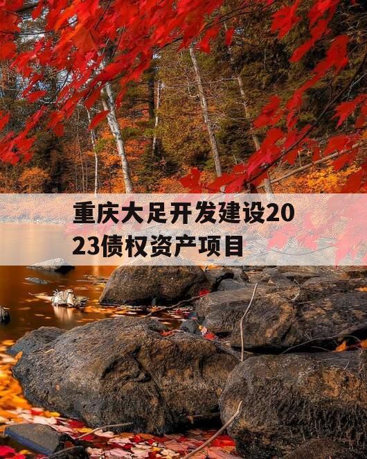 重庆大足开发建设2023债权资产项目