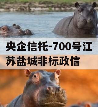 央企信托-700号江苏盐城非标政信