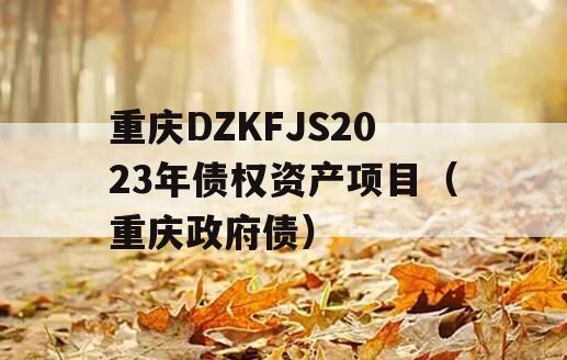 重庆DZKFJS2023年债权资产项目（重庆政府债）