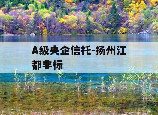 A级央企信托-扬州江都非标