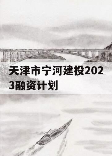 天津市宁河建投2023融资计划