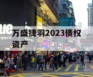 万盛捷羽2023债权资产