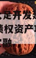 重庆大足开发建设2023年债权资产项目政府债定融