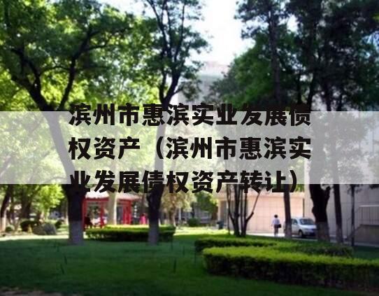 滨州市惠滨实业发展债权资产（滨州市惠滨实业发展债权资产转让）