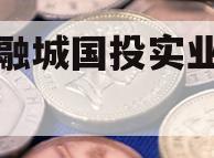 简阳融城国投实业债权拍卖