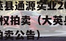 大英县通源实业2023债权拍卖（大英县土地拍卖公告）